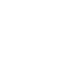 DFCG IDP